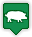pig pig